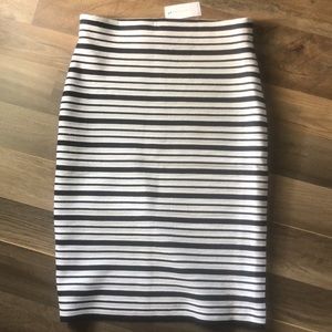 Ann Taylor skirt